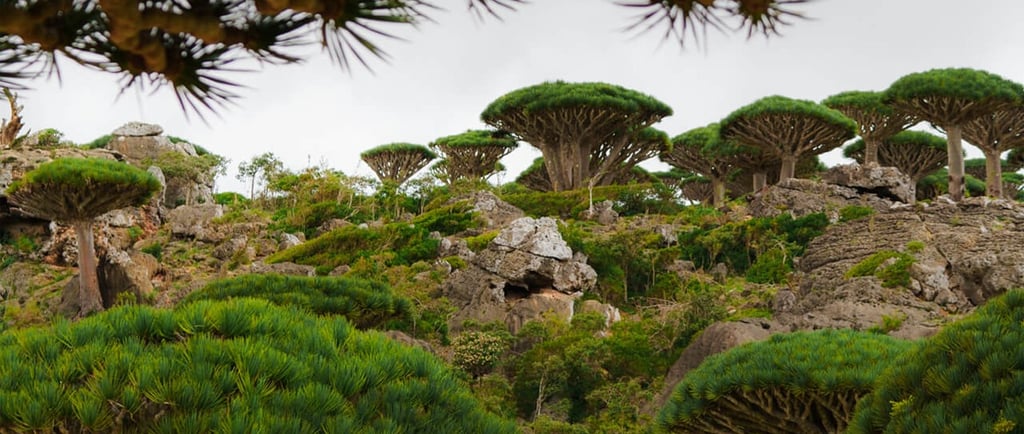 Every Thing to Know About Socotra Hajhir Mountains