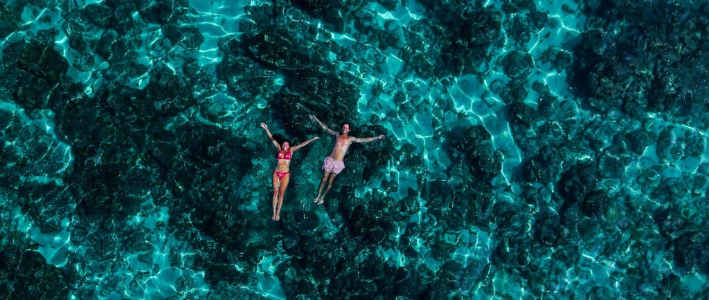 Top 7 Diving Spots in Socotra for Marine Life Enthusiasts