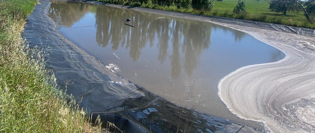 Winery waste-water effluent pond