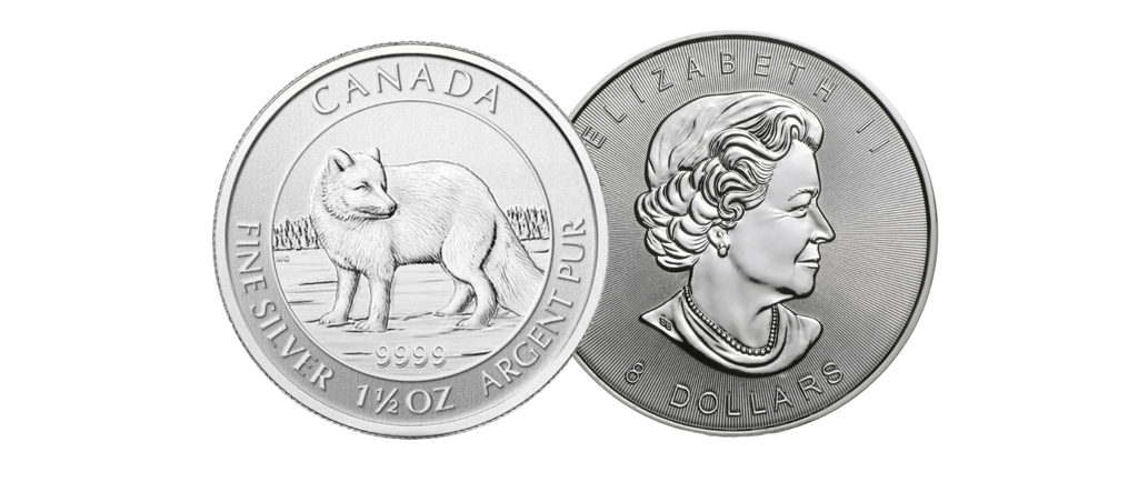 canadian arctic fox silver coin