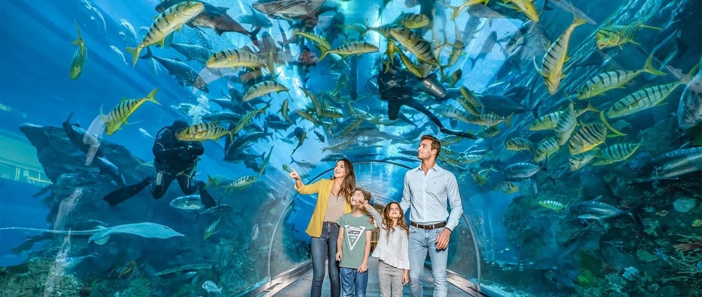 Tickets for Dubai Aquarium - Go Dubai Chauffeurs & Tours