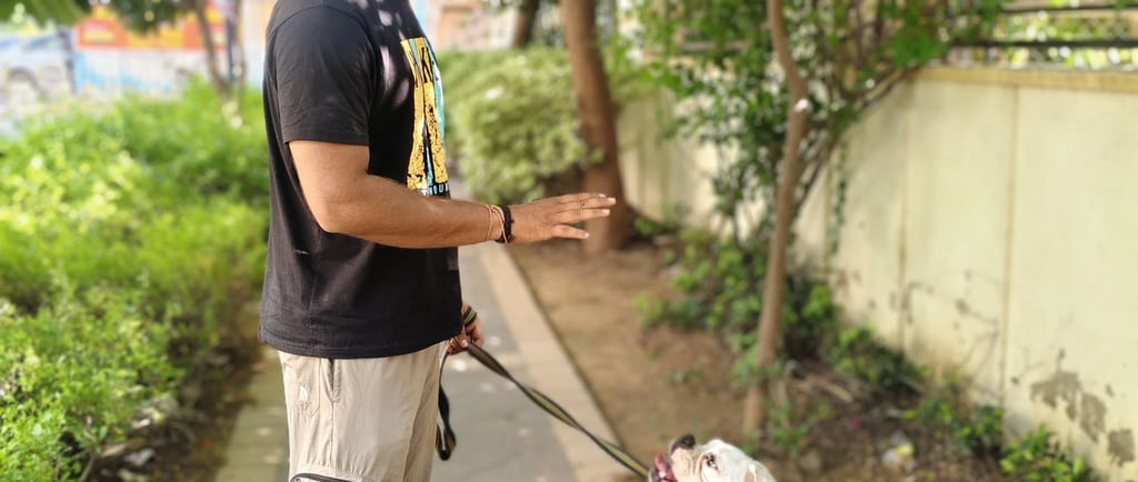 certified dog trainer in gurgaon at gurgaondogtraining.in