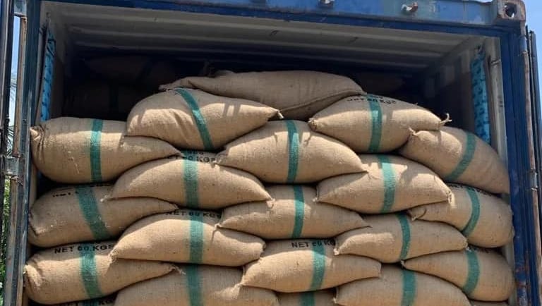 Proses muat Green Coffee Beans Toraja Arabica ke kontainer 20 feet