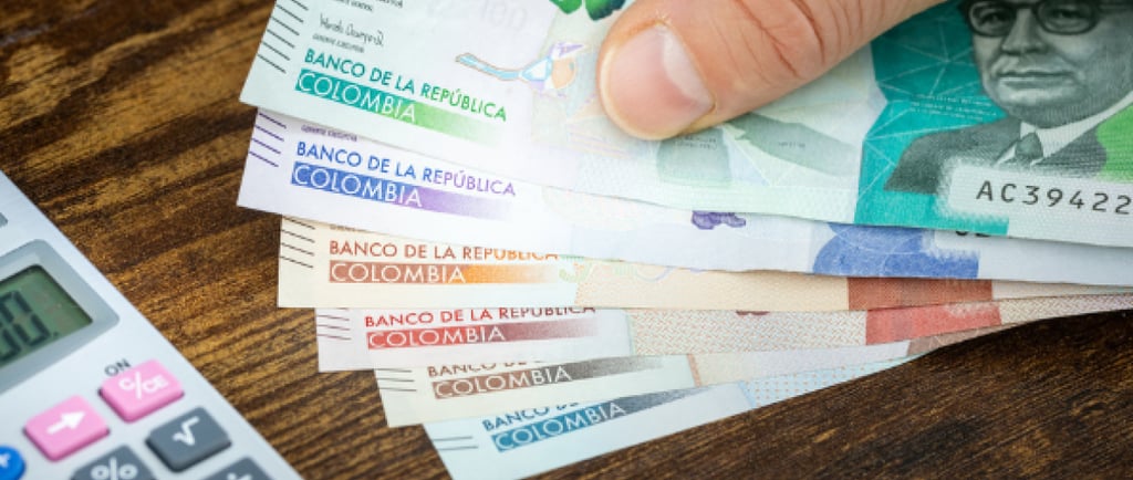 El gran problema fiscal de Colombia. La rigidez del gasto Nicolas rojas pardo economista