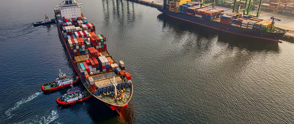 Nicolas Rojas Pardo Un nuevo rumbo al comercio exterior Colombia economía internacional