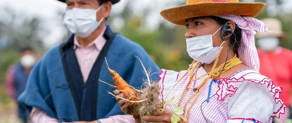 De la pandemia a la recesión, a la recuperación económica colombia análisis