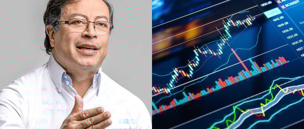 Nicolas Rojas Pardo Gustavo Petro presidente economía retos económicos nuevo gobierno