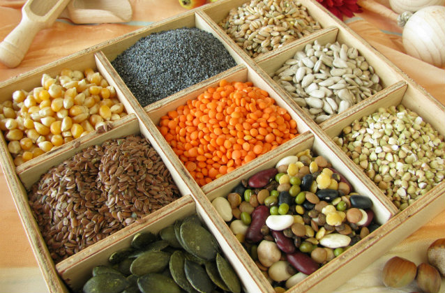 Prohibir las semillas transgénicas Colombia ingeniería genética