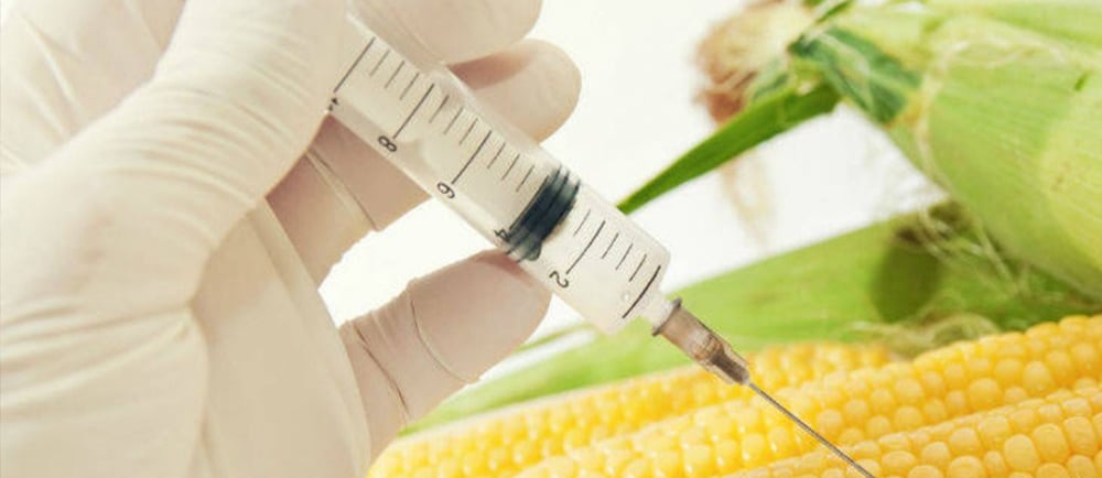 ¿Prohibir las semillas transgénicas? Agricultura economía Colombia desarrollo rural ley colombiana