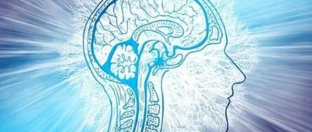 🧠🌱 هل الجوع يعمل كمخدر طبيعي للألم ؟ لماذا يقل الإحساس بالألم أثناء الصيام ؟