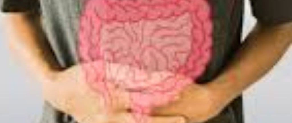 Leaky Gut Syndrome New View to Symptoms, Diagnosis & Treatments