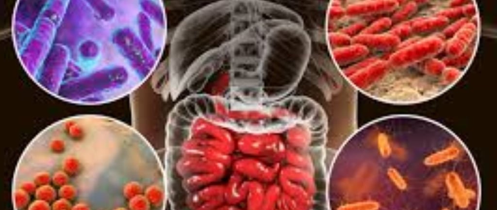 The Impact of Microbiome, Fasting, and Probiotics on Cancer (4)
