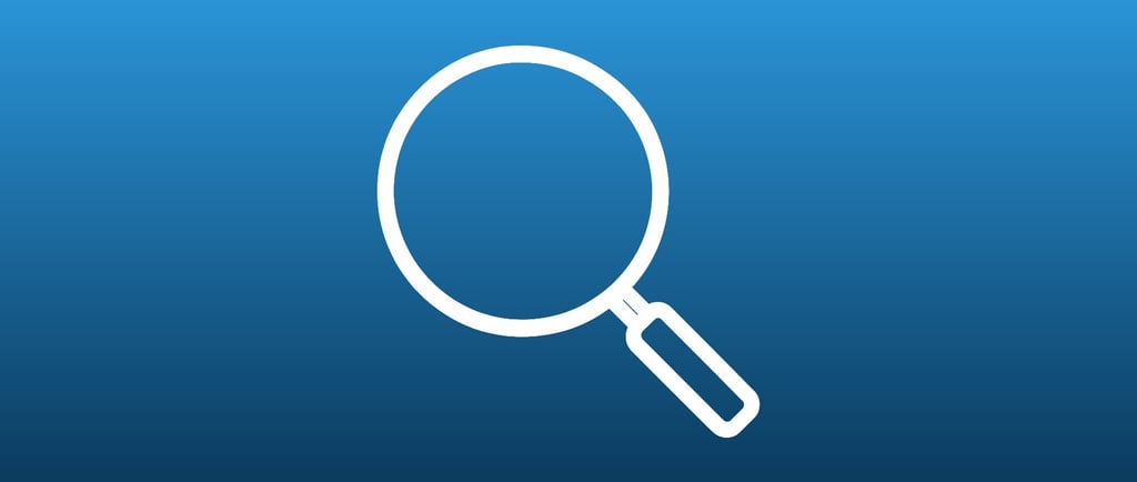 Momenta Consultancy - Adobe Zoom Tool - The Netherlands