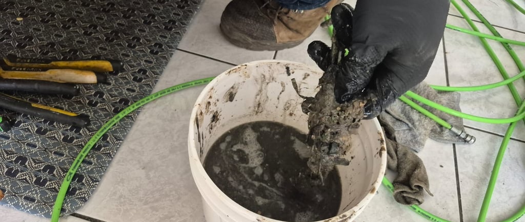 Drain cleaning technician showing grease buildup removed from a clogged drain