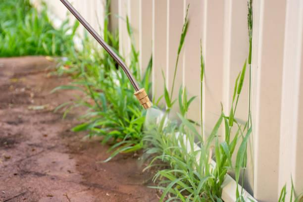 weed control phoenix az