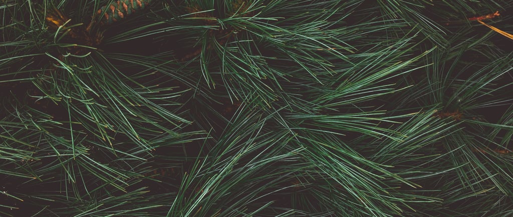 sales@okaypharmusa.com