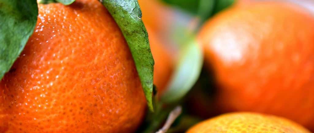 sales@okaypharmusa.com