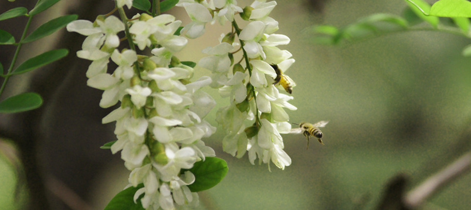 sales@okaypharmusa.com