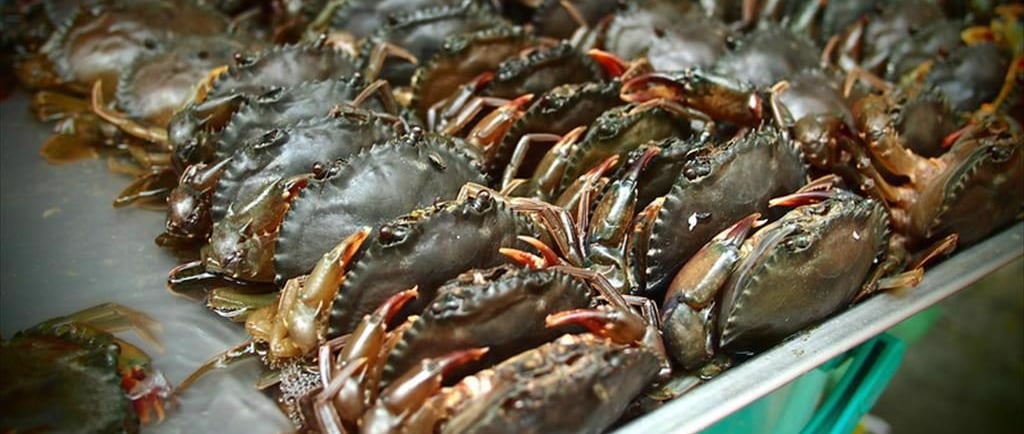 vietnamese mud crabs