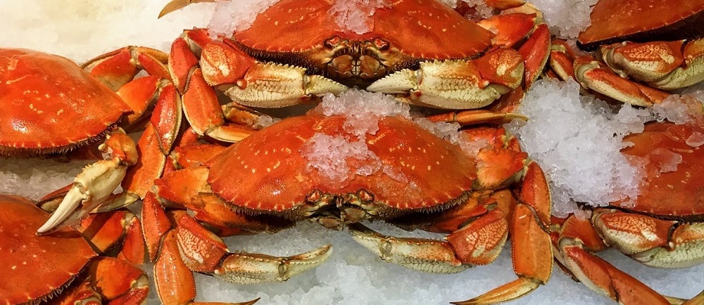crabs
