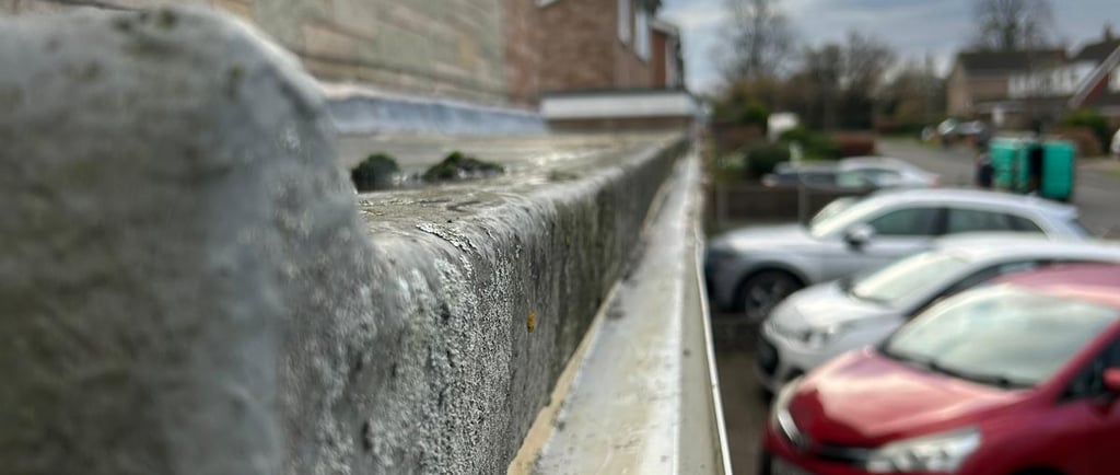 after photo gutter clean