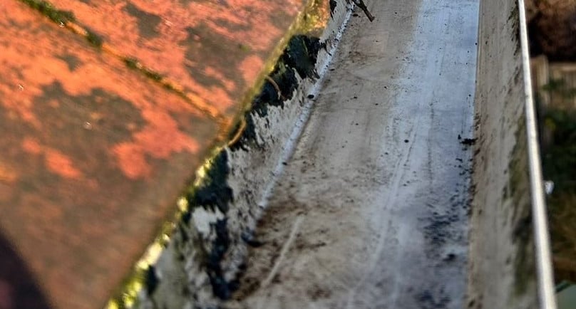 clean gutters