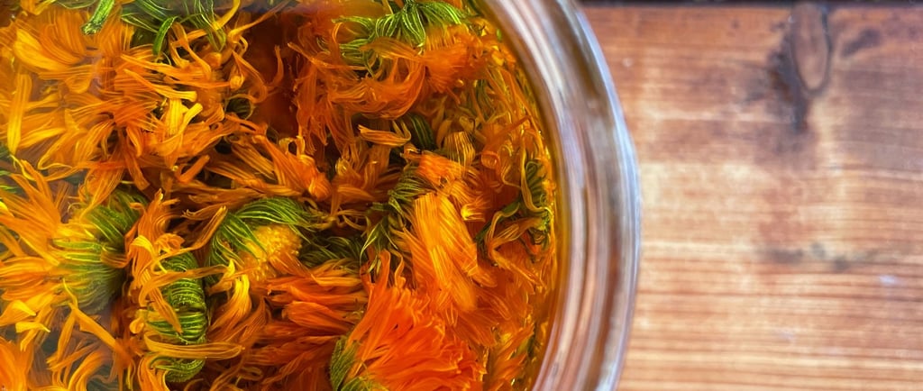 Recette DIY de macérât huileux aux fleurs de Calendula