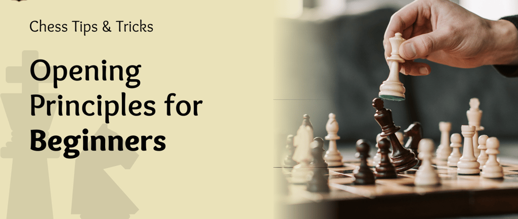 Chess Opening Principles