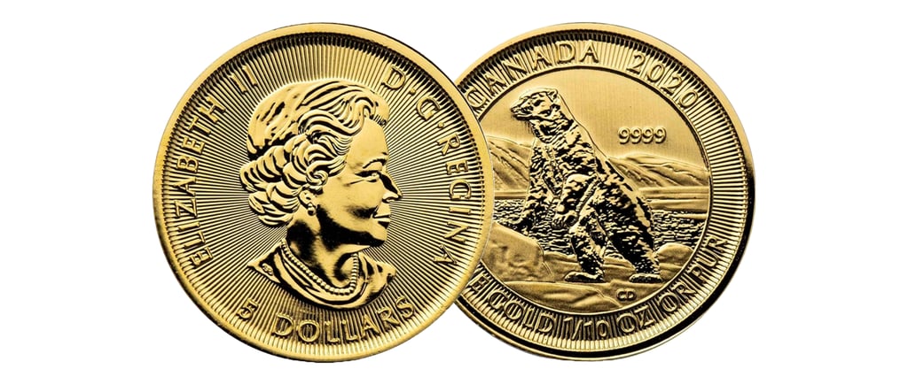 gold canadian polar bear coin