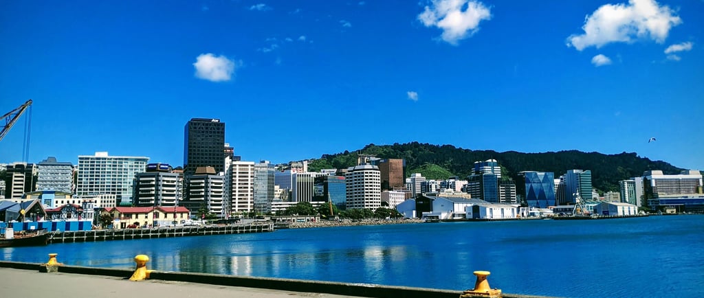 Commercial Cleaning Tips for Wellington Businesses