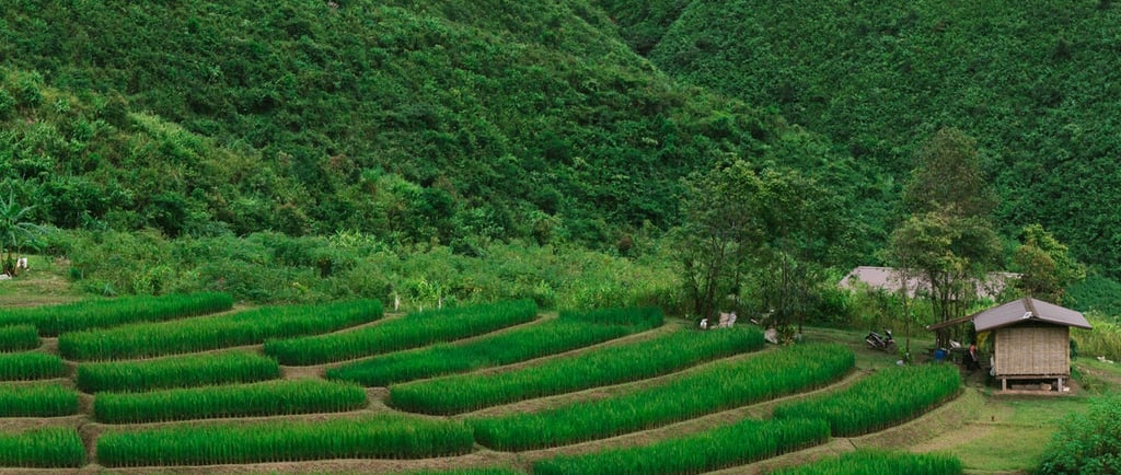15 จุดเช็คอินถ่ายรูปน่าน ปี 2026 สวยสะกดตา พร้อมบริการช่างภาพมืออาชีพ