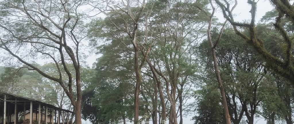 งานแต่ง outdoor จังหวัดน่าน