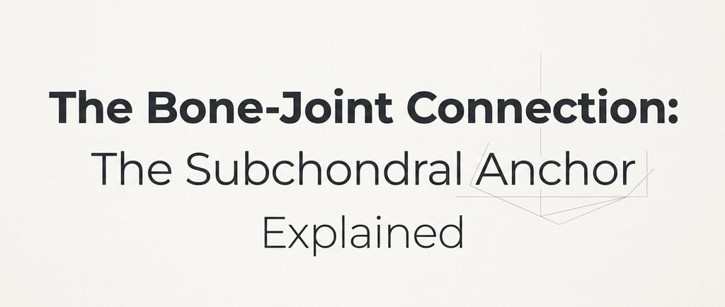 The Bone-Joint Connection The Subchondral Anchor Explained