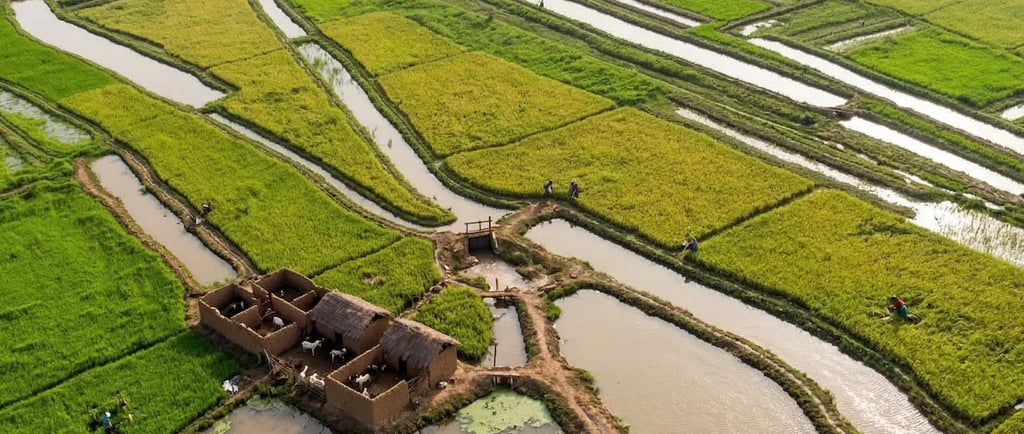 irrigation-de-precision-au-sahel