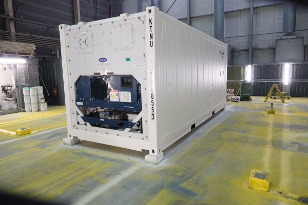 Buy White refrigerated shipping container 