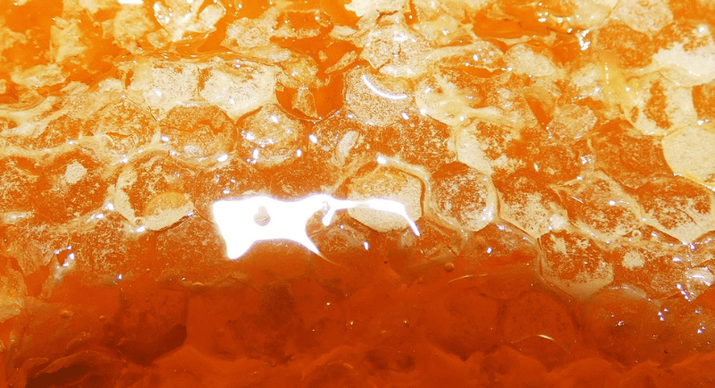 Close-up of golden raw honeycomb dripping with fresh organic honey.