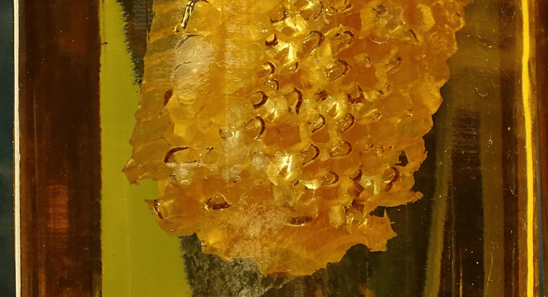 Raw organic honeycomb submerged in a glass jar of golden liquid honey.