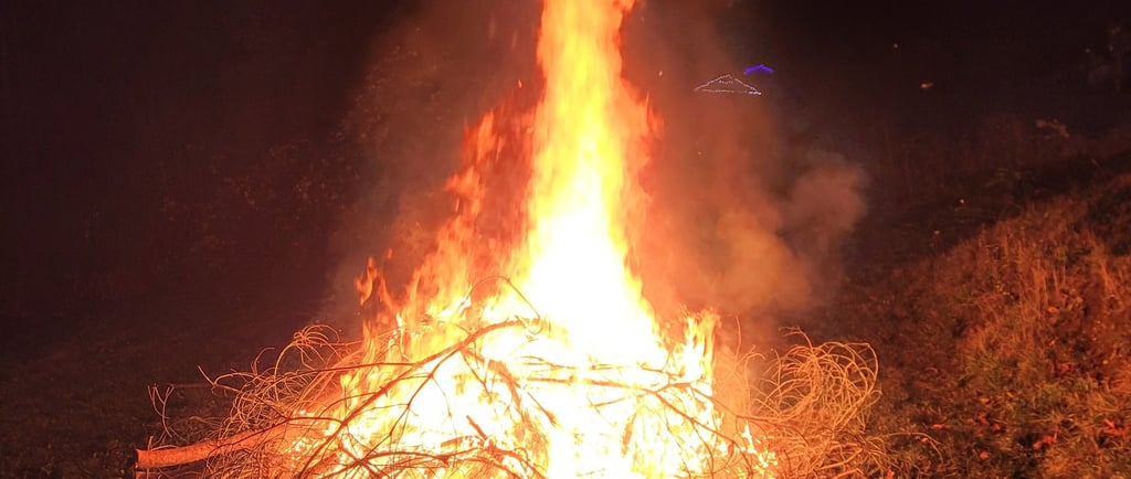 blackberry cuttings in a large fire