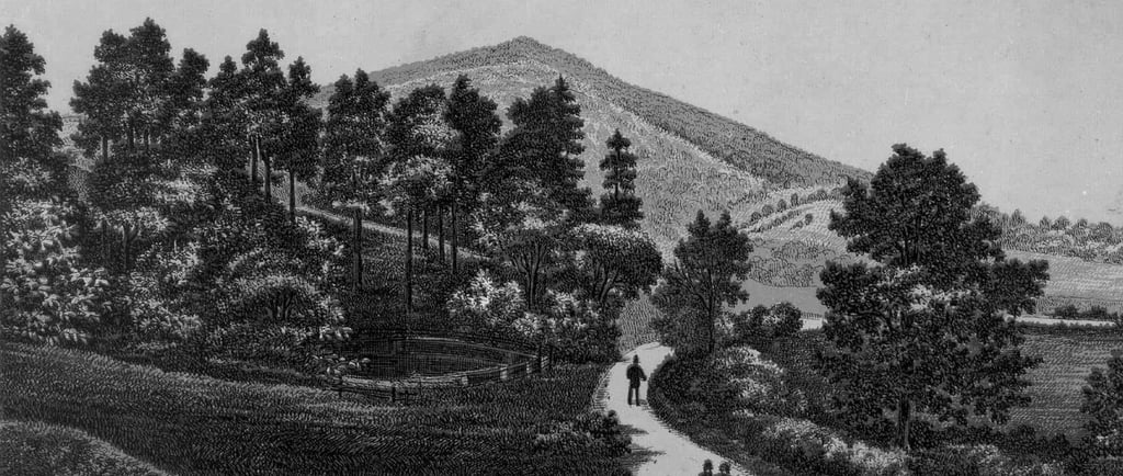 Vintage engraving of people walking along a winding path toward a large mountain peak.