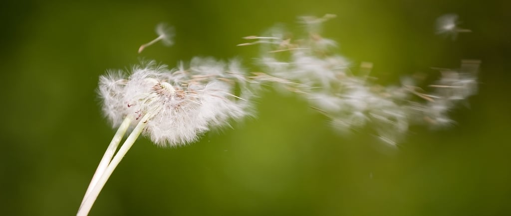 healing-the-unseen-pain