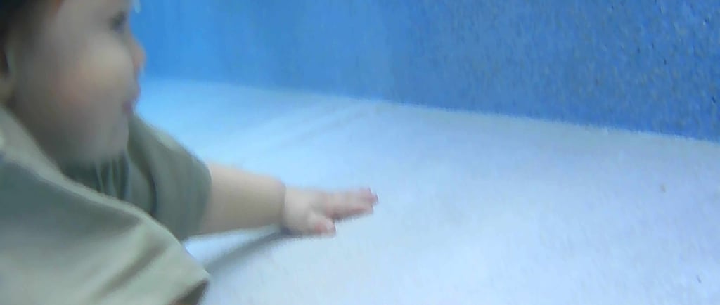 clases  de natacion para bebes MundoAqua en Merido Yucatan