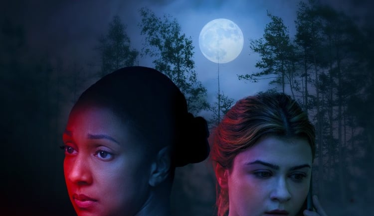 The Perfect Killer (2025)