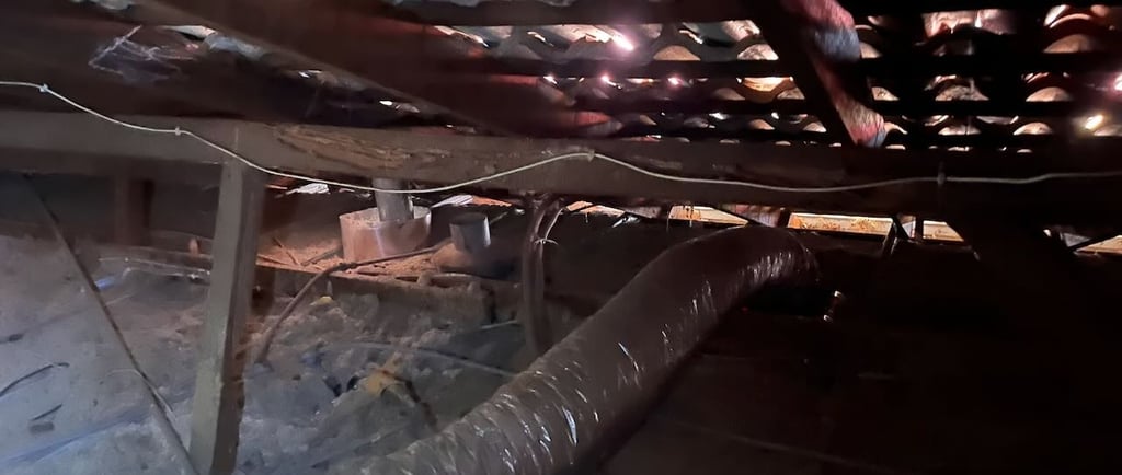 Termite damaged timbers - before works