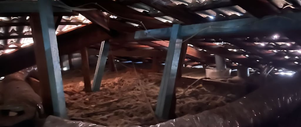 After images of new timbers supporting termite damaged areas