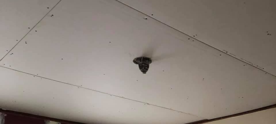 ceiling restoration drywall