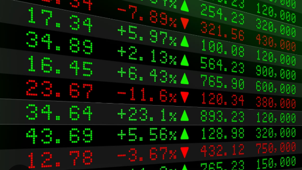 Terraz Agronegócios, corretora especializada em matérias-primas para ração animal no Brasil