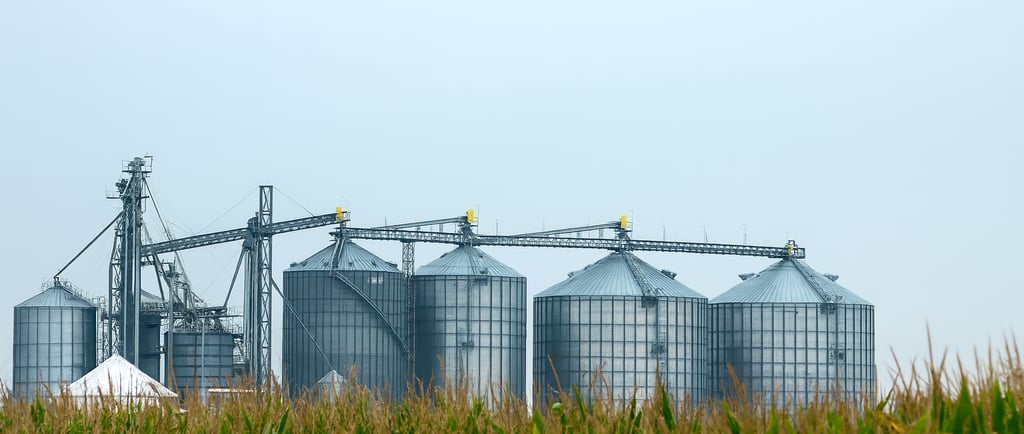 Terraz Agronegócios, corretora especializada em matérias-primas para ração animal no Brasil