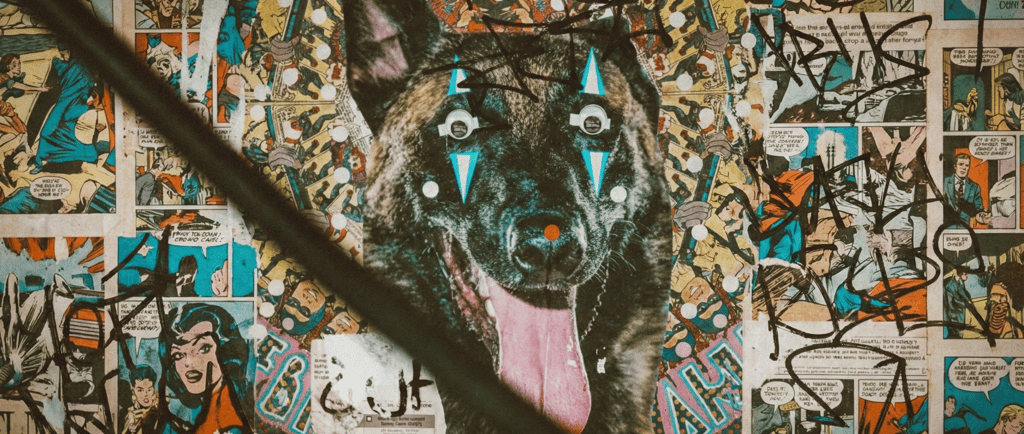 Künstlerische Street-Art-Collage eines Hundes mit aufgeklebten Wackelaugen und Comic-Hintergrund, di