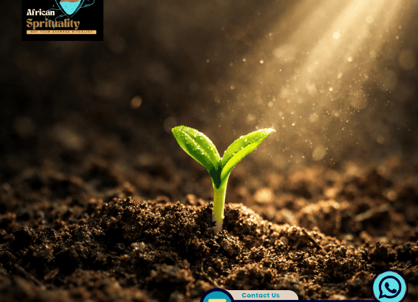 A small green seedling sprouting from fertile soil under a beam of spiritual divine light.