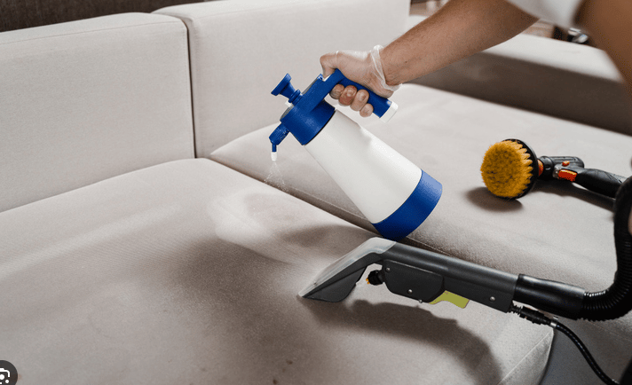 carpet cleaning near me, carpet cleaning services in Orlando, area rug cleaning Orlando, pet stain r